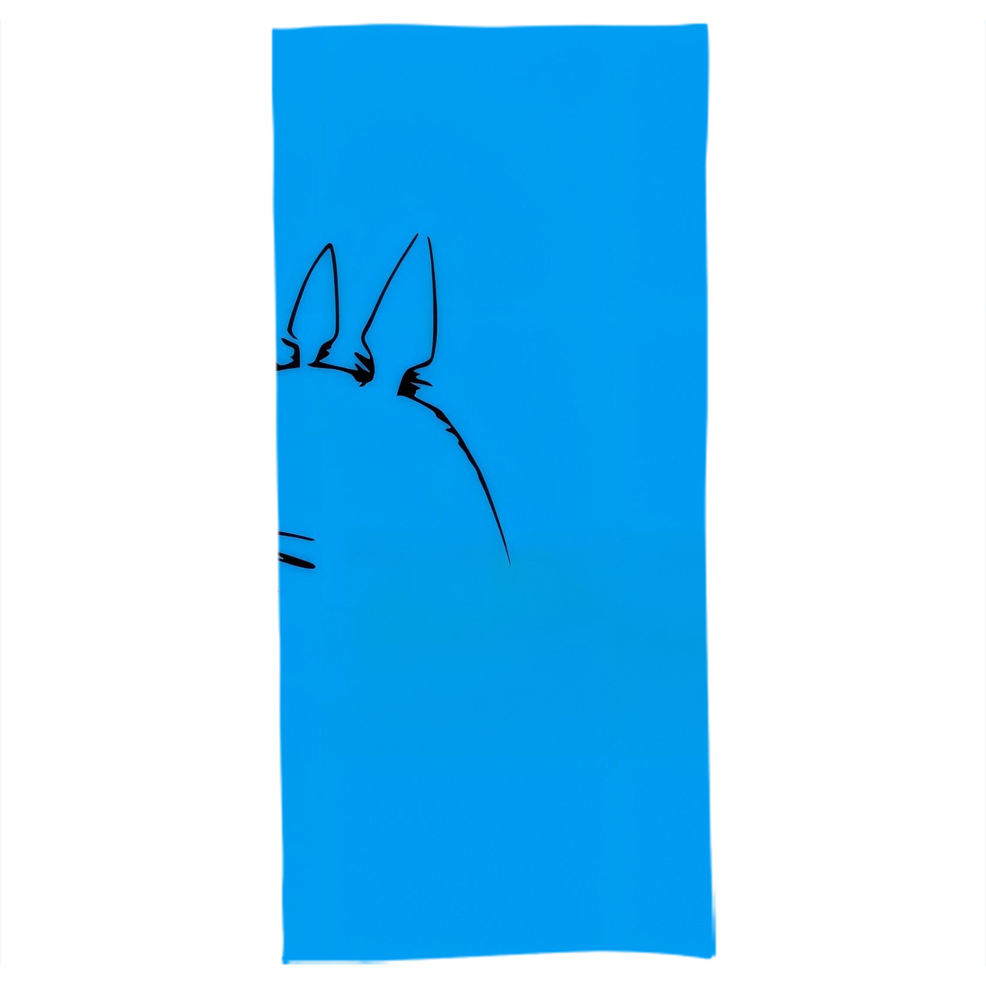 （画像用） となりのトトロ 草壁メイ 草壁サツキ My Neighbor Totoro Satsuki Kusakabe Mei Kusakabe 大判バスタオル 70×140cm 吸水速乾 柔らかい肌触り