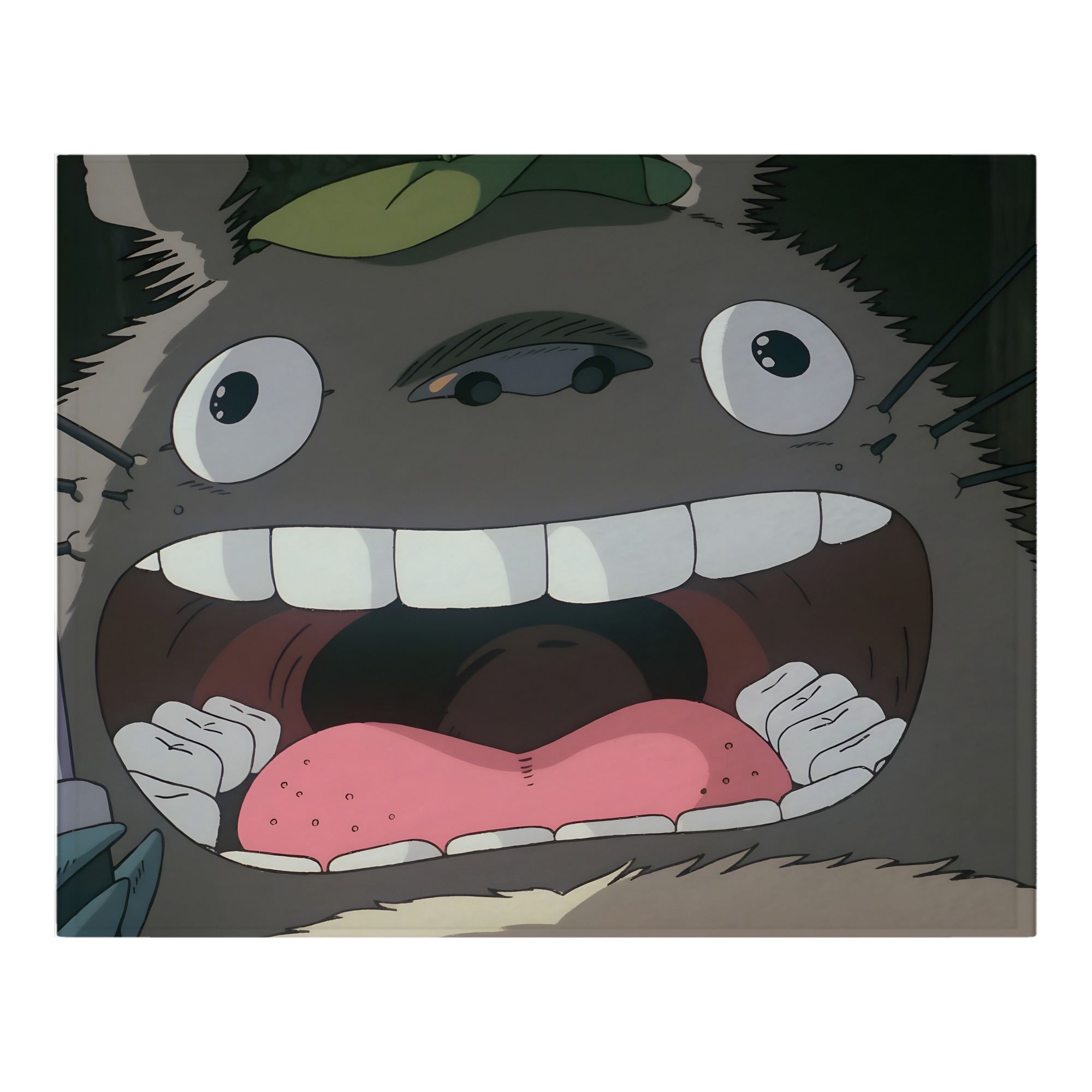 （画像用） となりのトトロ 草壁メイ 草壁サツキ My Neighbor Totoro Satsuki Kusakabe Mei Kusakabe フランネルブランケット・多サイズ対応（横型）