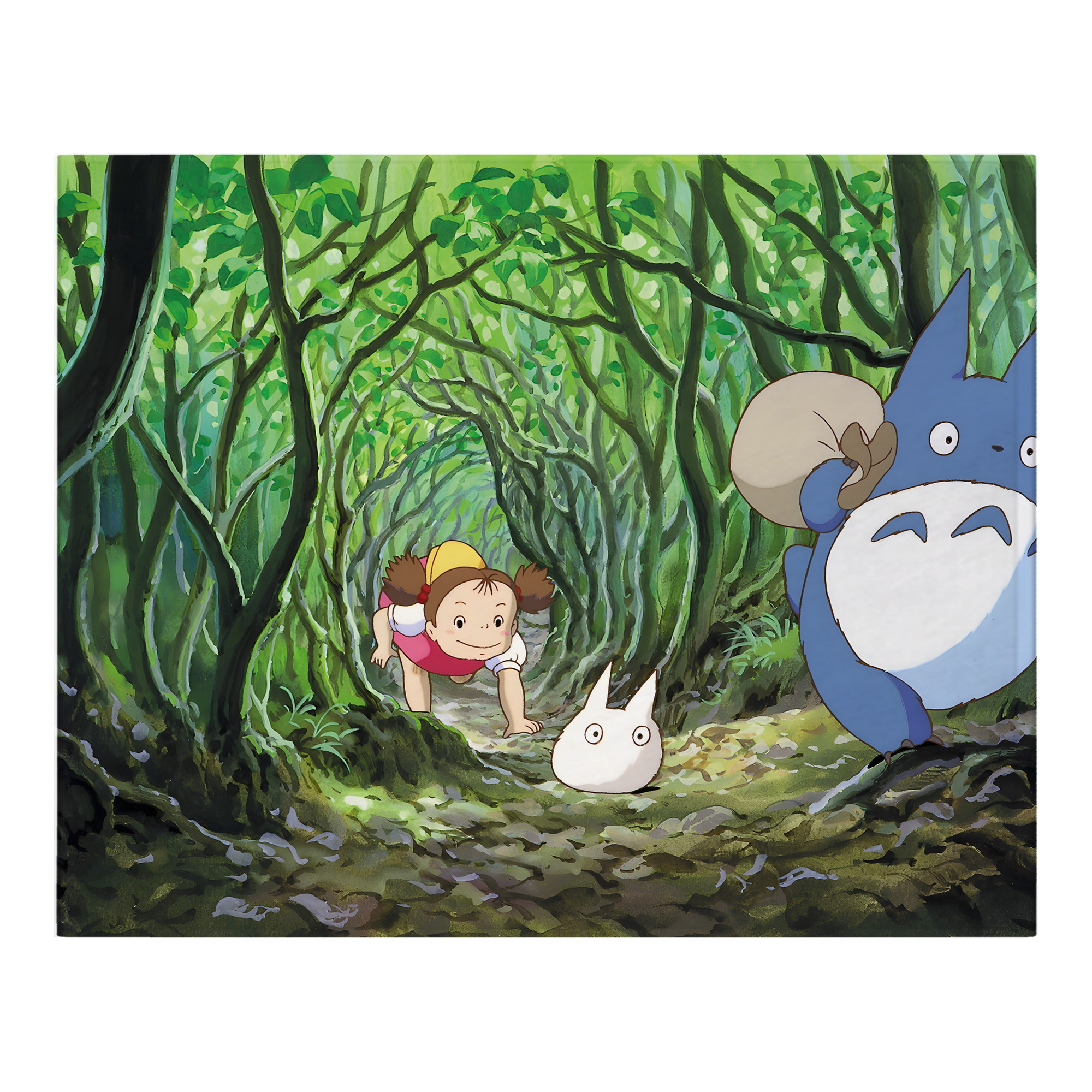 （画像用） となりのトトロ 草壁メイ 草壁サツキ My Neighbor Totoro Satsuki Kusakabe Mei Kusakabe フランネルブランケット・多サイズ対応（横型）