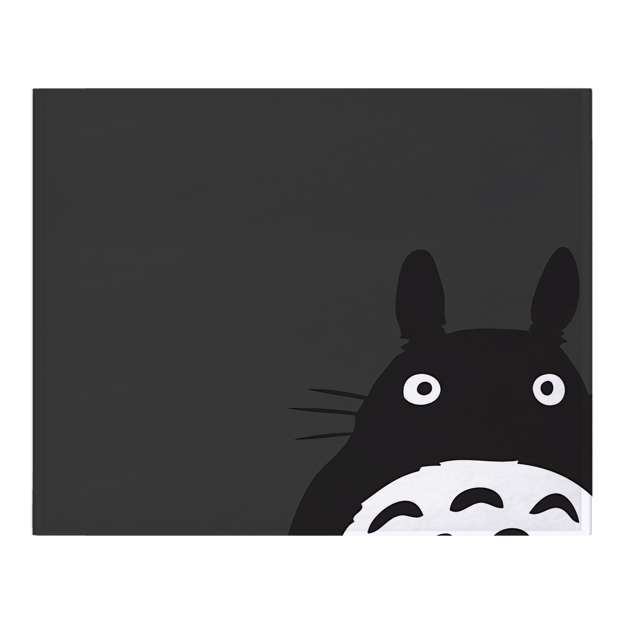 （画像用） となりのトトロ 草壁メイ 草壁サツキ My Neighbor Totoro Satsuki Kusakabe Mei Kusakabe フランネルブランケット・多サイズ対応（横型）