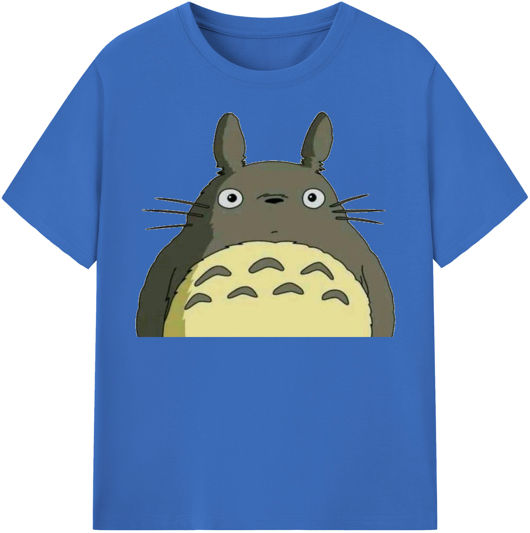 （画像用） となりのトトロ 草壁メイ 草壁サツキ My Neighbor Totoro Satsuki Kusakabe Mei Kusakabe 綿100％半袖Tシャツ（フロントプリント）