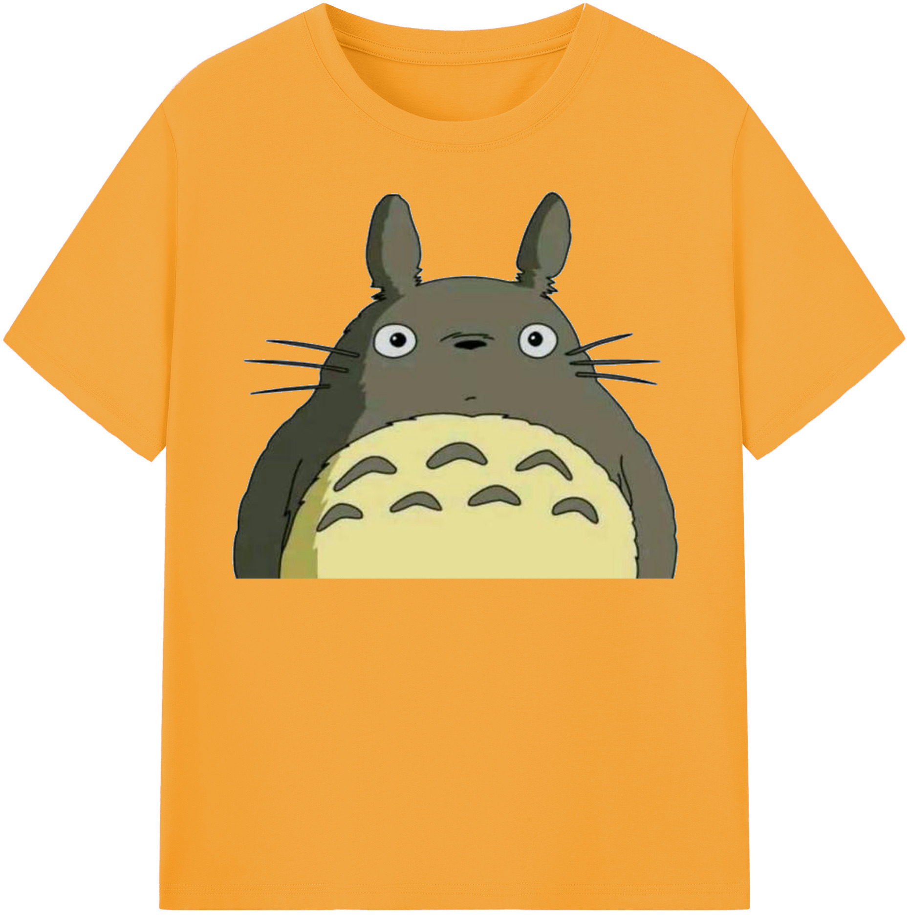 （画像用） となりのトトロ 草壁メイ 草壁サツキ My Neighbor Totoro Satsuki Kusakabe Mei Kusakabe 綿100％半袖Tシャツ（フロントプリント）