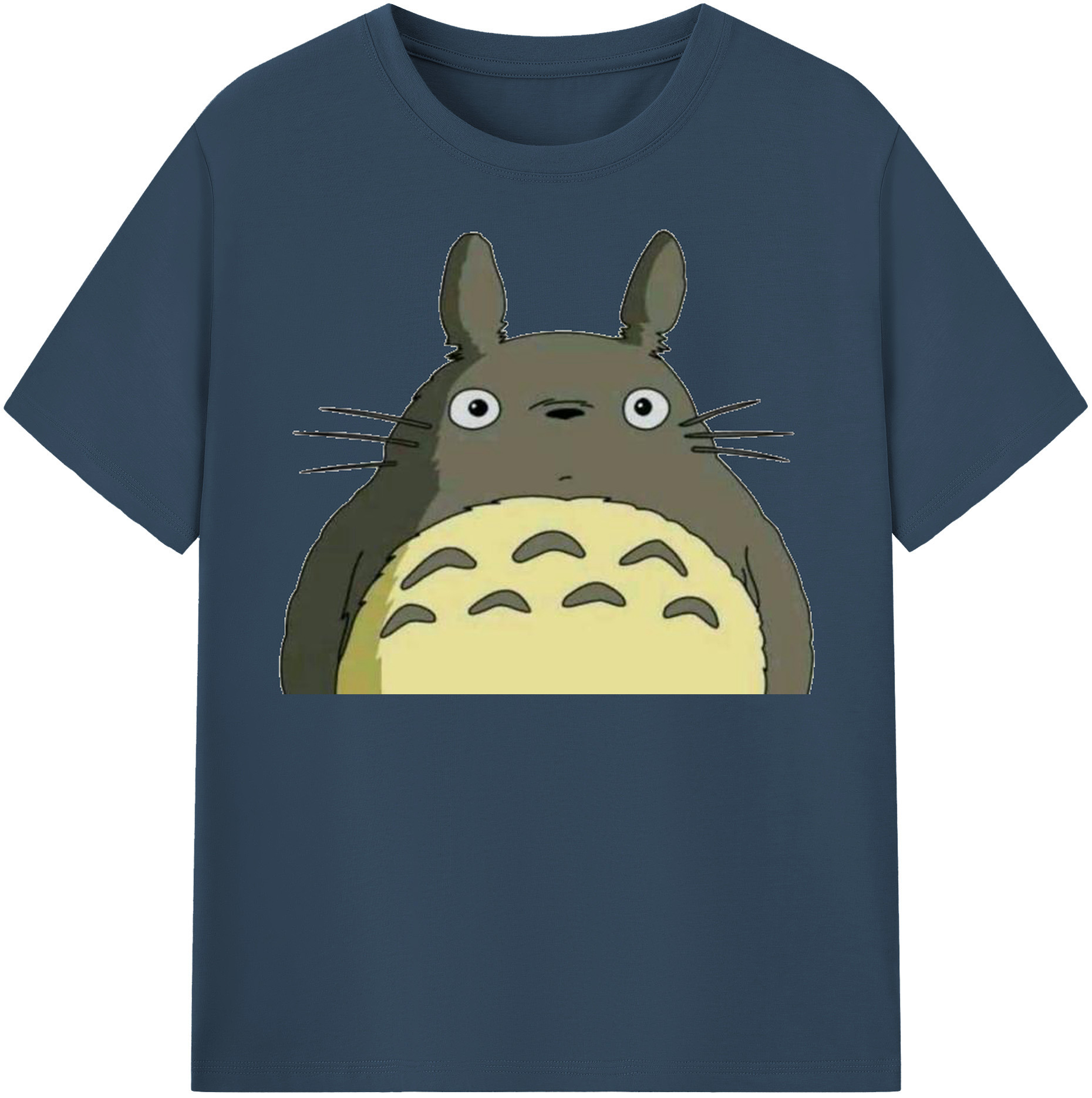 （画像用） となりのトトロ 草壁メイ 草壁サツキ My Neighbor Totoro Satsuki Kusakabe Mei Kusakabe 綿100％半袖Tシャツ（フロントプリント）