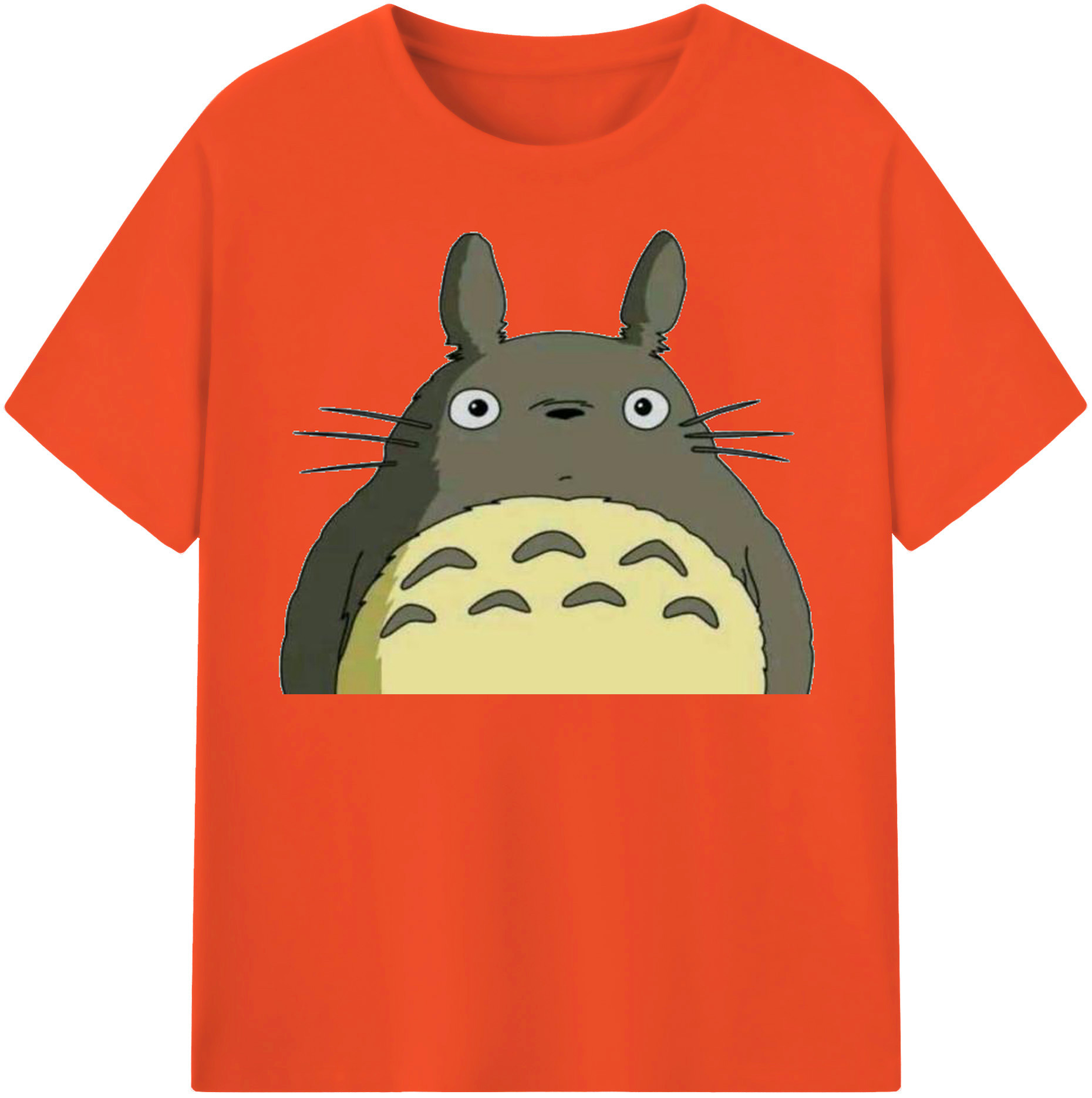 （画像用） となりのトトロ 草壁メイ 草壁サツキ My Neighbor Totoro Satsuki Kusakabe Mei Kusakabe 綿100％半袖Tシャツ（フロントプリント）