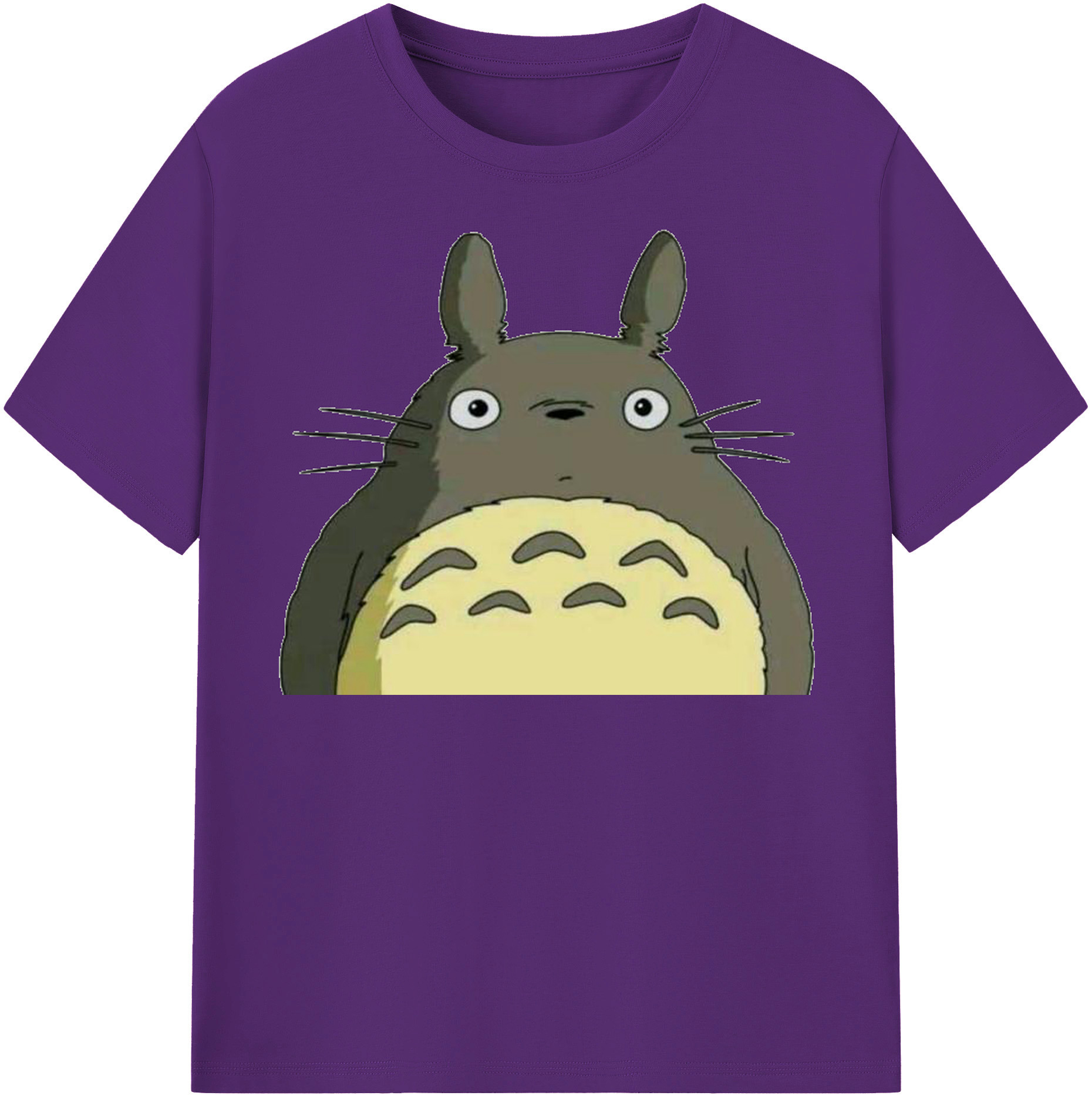 （画像用） となりのトトロ 草壁メイ 草壁サツキ My Neighbor Totoro Satsuki Kusakabe Mei Kusakabe 綿100％半袖Tシャツ（フロントプリント）