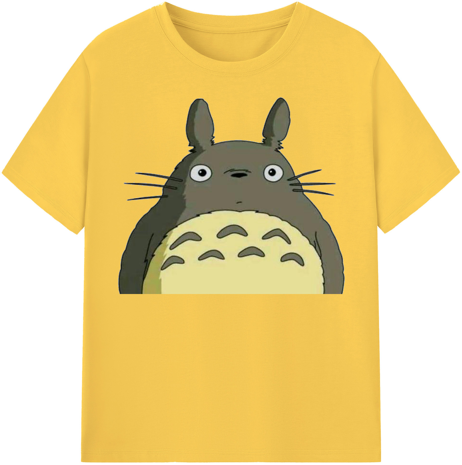 （画像用） となりのトトロ 草壁メイ 草壁サツキ My Neighbor Totoro Satsuki Kusakabe Mei Kusakabe 綿100％半袖Tシャツ（フロントプリント）
