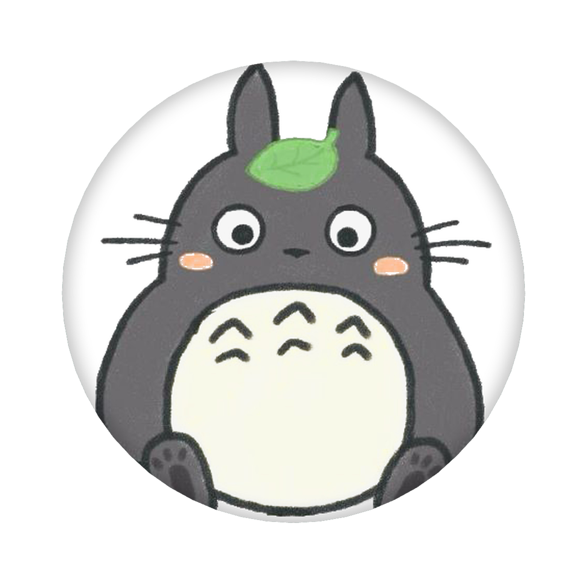 （画像用） となりのトトロ 草壁メイ 草壁サツキ My Neighbor Totoro Satsuki Kusakabe Mei Kusakabe 6cm 缶バッジ 複数セット