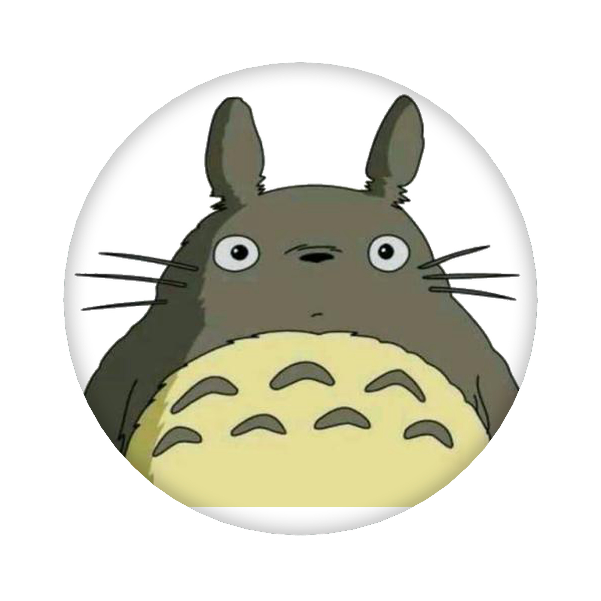（画像用） となりのトトロ 草壁メイ 草壁サツキ My Neighbor Totoro Satsuki Kusakabe Mei Kusakabe 6cm 缶バッジ 複数セット