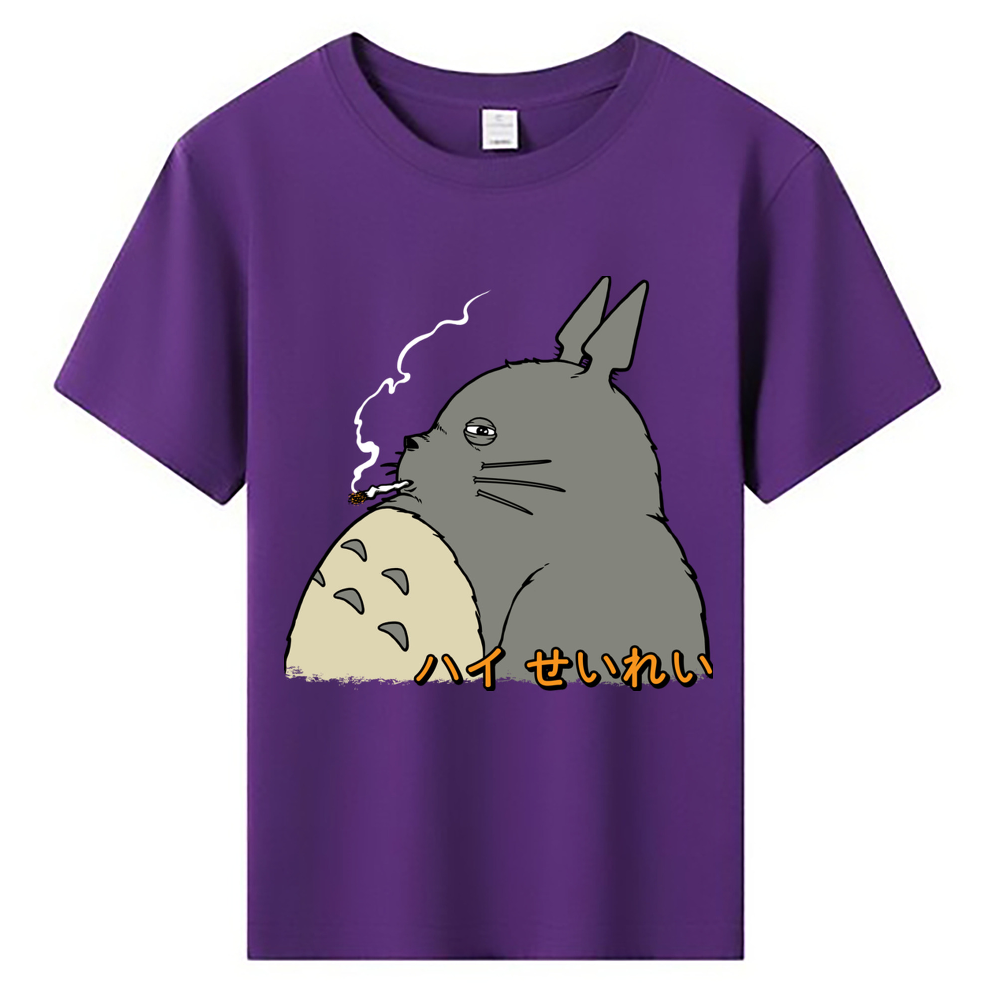 （画像用） となりのトトロ 草壁メイ 草壁サツキ My Neighbor Totoro Satsuki Kusakabe Mei Kusakabe 綿100％キッズTシャツ（フロントプリント）